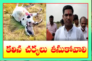 Hindu communities are outraged over the shooting death of a cow In Damagundam