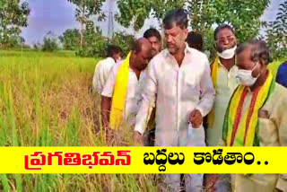 tdp state president ramana visits flood effected crops in jagtial district