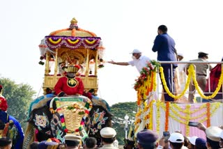 Colourful Photos Of Mysore Jumbo Savari