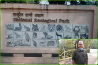 New wildlife to visit Delhi Zoo under animal exchange program