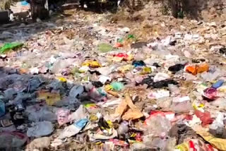 Litter piles near the main road leading to Mehrauli