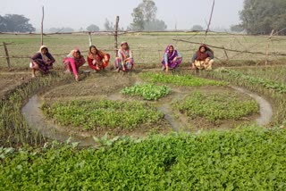 स्वयं सहायता समूह से जुड़कर आत्मनिर्भर बन रहीं महिलाएं