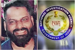 Rabins Hamid appear NIA court today  Rabins Hamid arrested  സ്വർണക്കടത്ത് കേസ്  റബിൻസ് ഹമീദ് അറസ്റ്റ്  റബിൻസ് ഹമീദ് എൻഐഎ കോടതിയിൽ  gold smuggling case