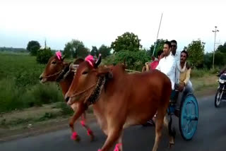 former-minister-sachin-yadav-ran-a-bullock-cart