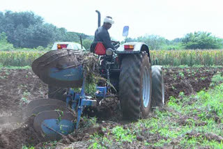 ಶೇಂಗಾ ಬೆಳೆ ಸ್ವತಃ ಹಾಳು ಮಾಡಿದ ರೈತ