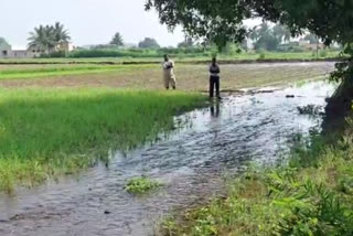 pune farmers waiting damaged crops panchanama