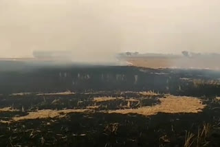 58 stubble burning location trace by harsek in fatehabad