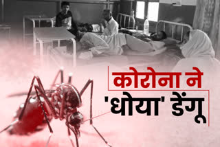 reduction in dengue cases