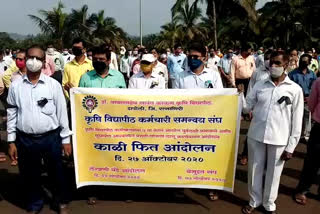 agriculture university employees agitation over seventh pay commission ratnagiri