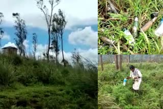 രാജാക്കാട്‌ കനകകുന്ന് സാമൂഹ്യവിരുദ്ധരുടെ കേന്ദ്രമാകുന്നു  ഉദയാസ്തമന സൂര്യപ്രകാശത്താല്‍ തിളങ്ങുന്ന പ്രദേശം  രാജാക്കാട്‌ ഗ്രാമ പഞ്ചായത്ത്‌  മദ്യക്കുപ്പികള്‍ മാലിന്യകുമ്പാരമായി  കനകകുന്ന് സാമൂഹ്യവിരുദ്ധരുടെ കേന്ദ്രം  പൊലീസ് പട്രോളിങ്  rajakadu kanakakunnu pollution  kanakakunnu pollution  idukki kanakakunnu