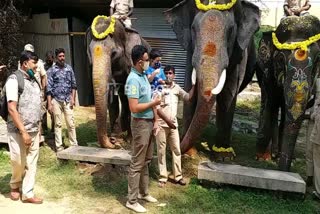 Adhyaveer spent some time with Abhimanyu elephant