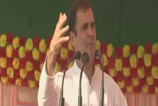 PM Modi lied on jobs, crowd will chase him away: Rahul