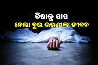 ବିଷଧର ସାପ କାମୁଡ଼ାରେ ଦୁଇ ଭଉଣୀ ମୃତ