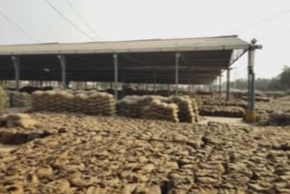 Paddy stockpile in Nabha Grain market due to non-lifting