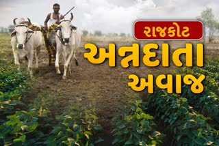 રાજકોટના ખેડૂતોની પ્રતિક્રિયા