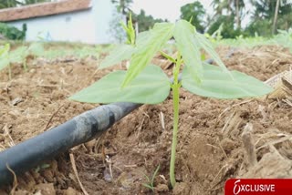 சொட்டு நீர்ப் பாசனத்தில் அதிக மகசூலை ஈட்டும் கிராமத்தினர்