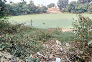 People facing problem due to deterioration of ancient johad in Najafgarh