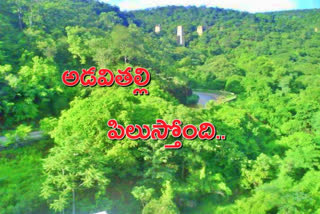 Telangana forest department permits tourists
