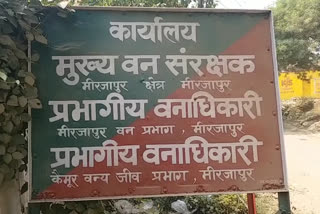 बायोडायवर्सिटी पार्क निर्माण कार्य