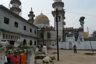 eid milad un nabi raipur