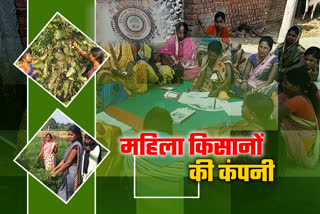 women-farmers-formed-their-own-company-in-hazaribag