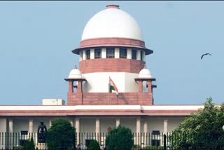 sc slams wb police