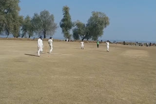 Cricket