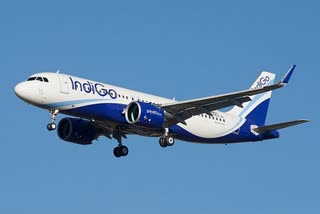 IndiGo