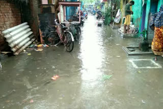 Chennai Records Highest Rainfall in a Single Day Since 2014