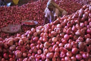 Govt bans export of onion seeds