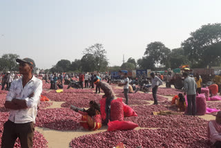 price for onion in Neemuch