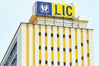 What is the profit with LIC sale? How much damage?