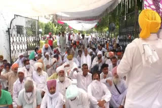 farmers protest against new agriculture laws in sirsa