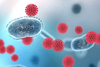 کورونا وائرس: ایکٹیو کیسز کی تعداد 6 لاکھ سے کم