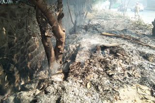 Problems posed to passers by after fire in bushes in Baprola Village
