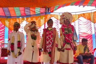 muslim marriages at zaheerabad on the eve of mild un nabi