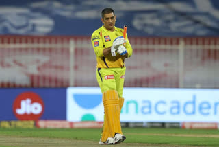 Dhoni praised Gaikwad and Jadeja