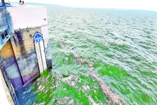 more water is stored in nagarjuna sagar due to heavy rains