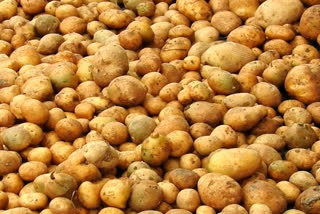 Govt permits potato imports from Bhutan without licence