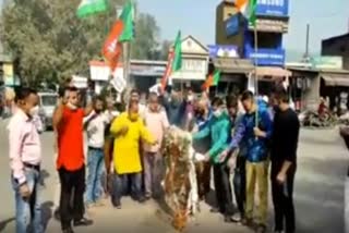 BJP protests against Pakistan for killing of party workers at Kulgam