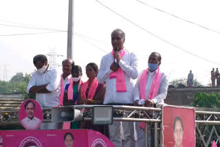 minister harish rao election campaign at rayapol mandal in siddipet district