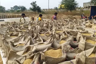 Paddy will be purchased in Chhattisgarh from 1st December