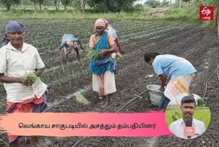 kallakurichi onion farming