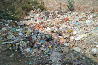 garbage dump in empty plot of shyam vihar area of najafgarh