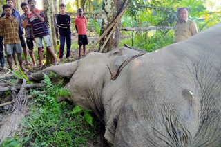 ছবি