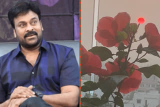 Chiranajeevi Shares Adorable sun rise photo