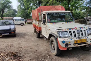 BILSIPARA WEST  SEIZED ILLEGAL WOOD