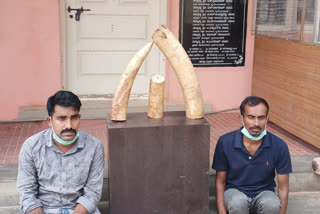 Arrest of two accused in Bangalore