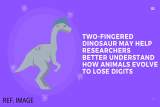 A TWO-FINGERED dinosaur,Oviraptorids