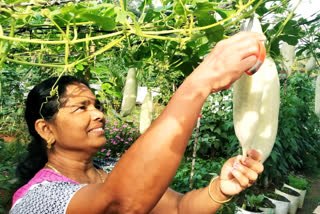 onathinu orumuram pachakkari  ഓണത്തിന് ഒരുമുറം പച്ചക്കറി  ലൂസി തോമസ്  മികച്ച കർഷകയ്‌ക്കുള്ള പുരസ്‌കാരം  ഇടുക്കി  കാര്‍ഷിക വികസന കര്‍ഷക ക്ഷേമ വകുപ്പ്